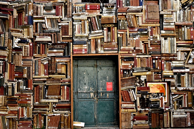 books-1655783_640 Ecole et Soins Aolam - Consultations Akashiques